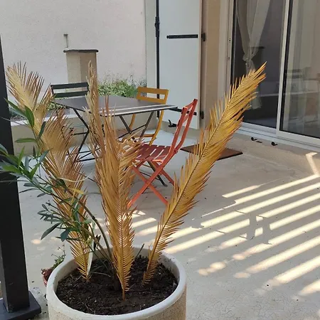 Maison De Ou Sejour Pro Sud De La France Occitanie * Capendac